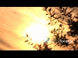 English Countryside Sunset 213